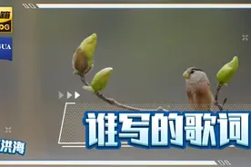 【李洪海】题名和作词  || 玉兰花视频封面