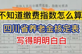不知道缴费指数如何计算？看四川省养老金核算表！写得特别明白视频封面