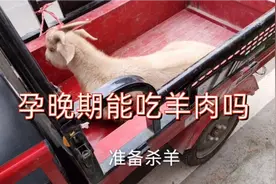 孕晚期能吃羊肉吗？准备杀羊。我还是有点不敢吃啊。视频封面