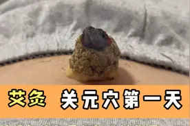 按照倪海厦老师教学，艾灸关元穴第一天视频封面