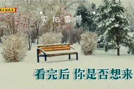 全国下雪地方很多，唯独哈尔滨最特别。到底有何不同