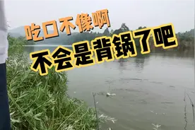 什么鱼在吃钩？老是打不住，朋友们：不会是这条鱼的漂相吧？视频封面