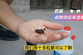 消灭蚊子的土办法，我们自己在家配制，方便又简单视频封面
