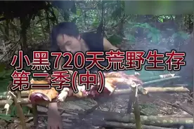 野外生存工具大曝光,黑哥捕捉到小野猪,猪腰子烤着吃很淄博!视频封面
