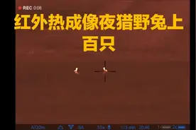 国外农场野兔泛滥成灾，祸害草场，专业猎人利用红外热成像夜猎兔视频封面
