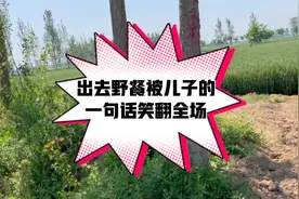 带家人去地里野餐，没找到被我儿子的一句话笑翻全场视频封面