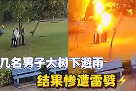 盘点全网那些“倒霉鬼”，几名男子大树下避雨，结果惨遭雷劈！视频封面
