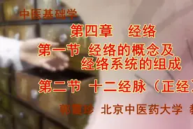 中医基础理论第三十六讲【经络学说概述】郭霞珍合集视频封面
