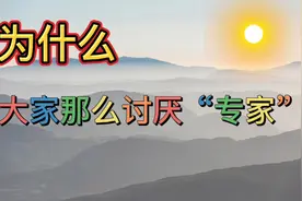 为什么大家那么讨厌专家视频封面