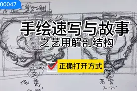 骨盆5：男70-75°,女90-100°耻骨下角的不同即为男女最大的区别视频封面