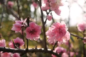 龚玥一首《烟花三月》，美妙极了。请朋友们欣赏音画烟花三月。视频封面