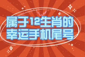12生肖幸运手机尾号视频封面