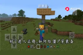 教你怎么给僵尸穿上钻石装备视频封面