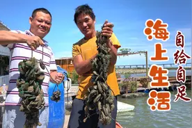 阿广带网友体验真实海上生活，现抓现煮，品尝美味的海鲜视频封面
