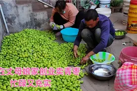 坐标云南元谋，湖南小伙在丈母娘家创业卖青枣，忙碌又充实视频封面