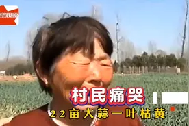 #22亩大蒜一夜枯死大妈痛哭，怀疑有人喷洒农药警方已介入调查视频封面