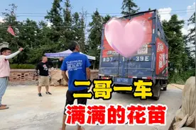 二哥老婆小沈明天来了，广东网友赠送一车花，叉子半夜赶往物流园视频封面