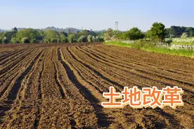 9月1日起，农村三种耕地将被收回，宅基地更有保障，农民早知道视频封面