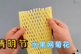 清明节！教你用水果网变废为宝，做菊花寄托哀思视频封面