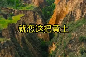 悠悠天宇旷，切切故乡情，《就恋这把土》充满了浓浓的乡土情调视频封面