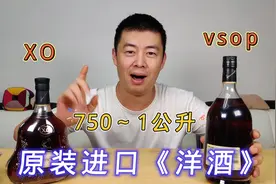 原装进口《洋酒》轩尼诗XO，VSOP要的就是面子！视频封面