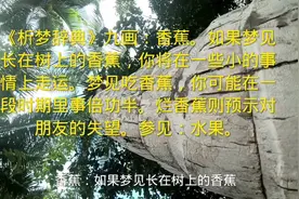 《析梦辞典》九画：香蕉。依梦里关键词笔画在短视频中找答案吧！视频封面