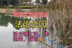 钓友说成都郫都区法治公园可以免费钓鱼，鲫鱼鲤鱼#钓鱼#钓鱼人视频封面
