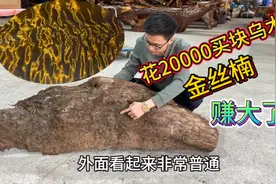 花20000买块金丝楠乌木，外面看着很普通，锯开赚大了视频封面
