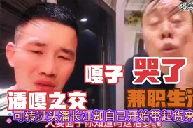 网红事件：潘嘎之交的由来，完整版合集视频封面