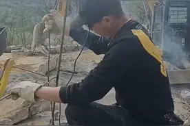 水泥艺术木桩护栏视频封面