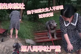 怀孕第八周，刚吃完出来就吐，吐的眼泪都出来了。视频封面
