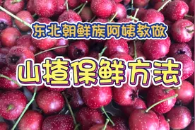 朝鲜族阿姨的山楂保鲜方法，让你在夏天也能自制美味山楂小零食！视频封面