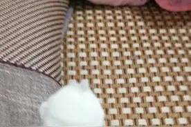 该不该去退货？视频封面