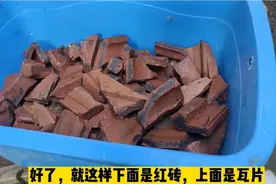 小金鱼的滤材换成了砖头瓦片，水质会不会有问题？视频封面