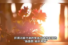 肝肾功能代谢过程机理与昼夜阴阳精血气化联系视频封面