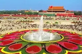 全国56个市的市花你知道吗？不知道？看完这个视频你就知道啦视频封面