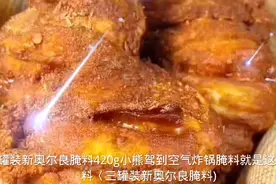 三罐装新奥尔良腌料420g小熊驾到空气炸锅就是新奥尔良腌料视频封面