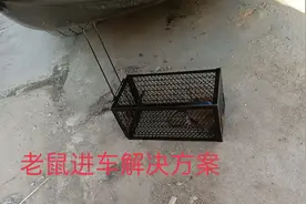 老鼠进汽车引擎盖咋办，给大家一个终极解决方案视频封面