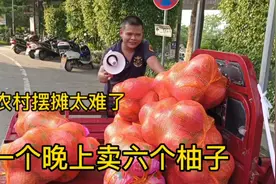 小伙在农村摆摊卖水果，一个晚上卖六个柚子，营业额45块，太难了视频封面