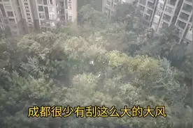 成都刮起了八级以上大风！中伏以来的头一场暴风雨视频封面
