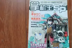 掌机王SP 杂志收藏视频封面