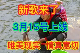 15号刚刚上线的新DJ歌曲！全网火爆，节奏动感，旋律优美，快听听