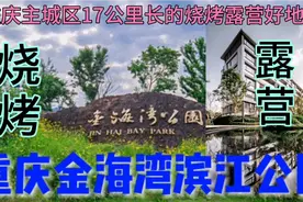 17公里的重庆生态休闲部落，目前可停车烧烤露营，有山有水有草坪视频封面