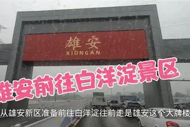 我从雄安前往白洋淀景区，沿路绿化也很到位，青山白洋淀第379期视频封面