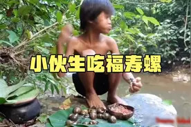 小伙子在野外捡到一锅福寿螺，拿来焖煮就可以饱餐一顿了视频封面