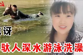 第一次见马儿背着人游泳的，太厉害了，这马长这大还是第一次洗澡