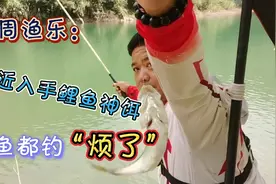 最近入手了一款钓鲤鱼“神饵”，鲤鱼都钓“烦了”视频封面
