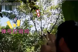 国外小伙弹弓狩猎，直接架起火野外烧烤视频封面