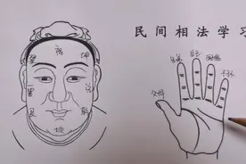 面部八卦分布图视频封面