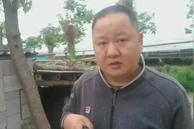 几月龄小母羊开始配种最好及如何辨别母羊发情视频封面